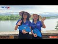 Kinh nghiệm du lịch Huế 1 ngày từ Đà Nẵng 
