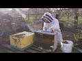 Honey Bee Hive Removal: Honey Bee Rescue & Relocation to Clean Hives | The Bush Bee Man