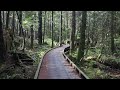RICE LAKE: A peaceful walk in North Vancouver