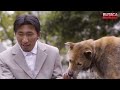 HACHIKO 2: SIEMPRE A TU LADO | RESUMEN en MINUTOS