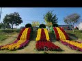 장성 황룡강 가을꽃축제
