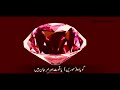 Surat Rahman A Beautiful Voice of Tilawat E Quran Viral video for you 💕 Mashallah Subhanallah 💓❤️