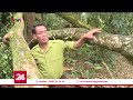 Nhiều vướng mắc trong quản lý vườn quốc gia Xuân Sơn | VTV24