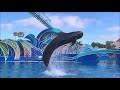 Dolphin Days | Full Show | with Whales at SeaWorld San Diego | 4K UHD