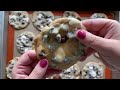 Chocolate Chip Marshmallow Cookies