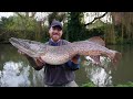 I Caught An Urban LEGEND, Biggest PIKE in The Canal!