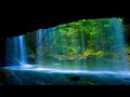Relaxing Waterfall Sounds With Beautiful Nature 💦 Waterfall HD #waterfall #waterfalls