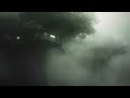 Moonlight Forest - Dystopian Atmospheric Dark Ambient - Post Apocalyptic Ambient Journey