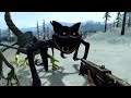 ALL Poppy Playtime Characters Chase and Tries to Kill Me in Garry's Mod!