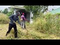 SHOCKING, overgrown grass, can't SEE the house. Helping the old man clean up the abandoned house