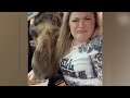 🐕The FUNNIEST Pet Videos of 2024😸|| 🤣BEST Recopilaton🤣