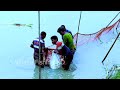 এই পুকুরের বড় মাছগুলো দেখার মত । village fishing hd