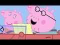Peppa Pig Nederlands | Familie | Tekenfilms voor kinderen