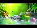 Relaxing Music 24/7, Stress Relief Music, Sleep Music, Meditation Music, Study, Calming Music #1