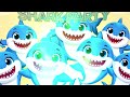 SHARK PARTY | World Music