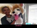 FIRST FURSUIT UNBOXING!!!