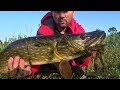 TINY Lake Big Pike Fishing [ Topwater Lure Fish Attack ]
