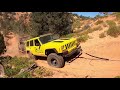 Toyota and Jeep join forces to save the Wildcat!!