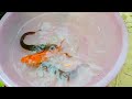 Catch Unique Little Frogs | Catching And Finding A Lot Of Beautiful Baby Koi Fish, Angel Fish#25