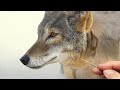 Painting Animal Fur with oil paint!