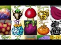 How Were Devil Fruits Created?