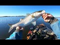 Speckled Trout Limit + Striped Bass Jigging in NC…Winter Fishing