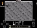 Minecraft WHAT? meme