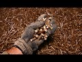 Manufacturing Process of Biomass Pellets made by Sawdust