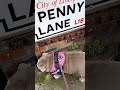 Pretty English Bulldog visits Penny Lane in Liverpool The Beatles - Cute Dog