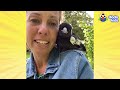 Baby Magpie Changes Kid Rescuer's Life | Dodo Kids | Rescued!