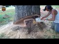 World's Dangerous Cutting Huge Tree Skills With Chainsaw, Incredible Fastest Tree Felling Skills