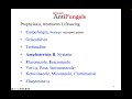 AntiFungal Drugs Summary 2024
