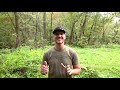 Bowhunting - 7 Treestand Tips Begginer to Advanced