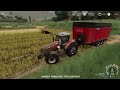 16 - Colhendo Arroz - Agronópolis Original - Farming Simulator 19.
