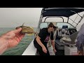 Port Albert Whiting, Flathead & Snapper Fishing