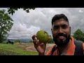 Mini Munnar - Murickassery | Aryan's Farmstay | Kallipara View Point | Idukki | Idukki tourist place