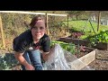 Quictent Mini Green House Unboxing | Assembly | Review | EverCrest