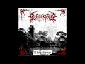 Sturmwächter - Klagelieder (Full Album Premiere)