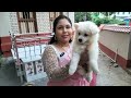 Home breed dogs | dog market in kolkata | Happy Pet House | Dog Kennel Kolkata | Pet Planet | dogs