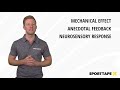 How Does Kinesiology Tape Work? - Breaking Down the Science and Theroies
