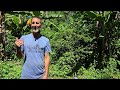 5 Tips To Building Your Dream Food Forest + Touring a 2 Acre Tropical Food Forest - The Reid Farm