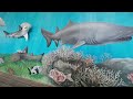 Traveling by Foot #95:_Local Artists:(2b)'Beth O'Connor'/'Marine Science Center Mural' {2023}