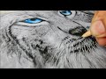 How I Draw Realistic Snow Tiger with Pencil - Step by Step - TUTORIAL For Beginner
