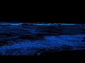Find Peace with The Rhythmic Sound of Blue Waves Lapping on The Beach at Night