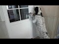 Dog Opens a Door