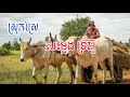 ស្រុកស្រែ សម្លេងទ្រអ៊ូស្តាប់ពីរោះរណ្តំចិត្តl Khmer flute sound - Relaxing music 1 hour - Khmer flute