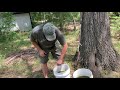 DIY COMFREY Fertilizer.. The ultimate plant food!