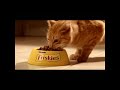 Реклама Friskies 2011 (промо Кот в Сапогах)