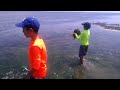 Boys save beached horseshoe crab from certain death!