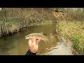 Wisconsin Trout Fishing - 4/28/2024